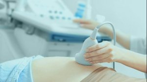 Двадцатая неделя беременности. ЧТО ПРОИСХОДИТ НА 20 НЕДЕЛЕ БЕРЕМЕННОСТИ ОТ ЗАЧАТИЯ