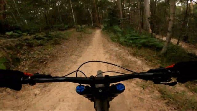 New Bike Day//Scott Gambler//Boomerang Bike Farm смотреть онлайн