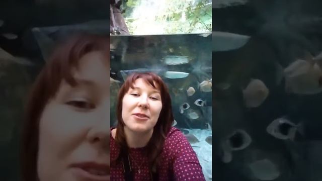 Елена! С Днём Рождения!С Юбилеем!))) смотреть онлайн