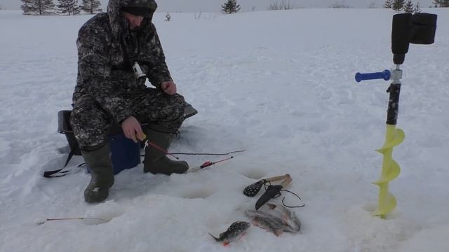 ОТКРЫЛ НОВЫЙ СПОСОБ ЛОВЛИ ОКУНЕЙ ЗИМОЙ.?КЛЮЁТ БЕЗОТКАЗНО!!! Зимняя рыбалка 2022 г. смотреть онлайн