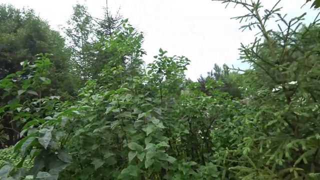 САДЫ МЕЧТЫ. РАЙСКОЕ МЕСТО! смотреть онлайн