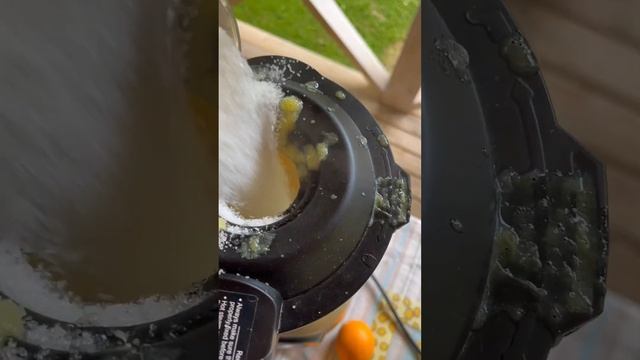 ArtMix Pro. Zepter. Апельсиновый джем #zepter #shorts #дачныерецепты смотреть онлайн