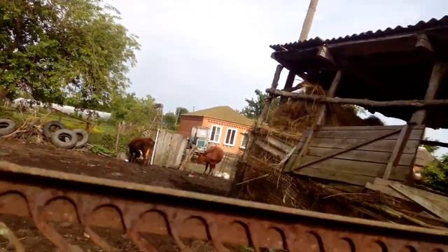 идем доить коров ч.1 смотреть онлайн