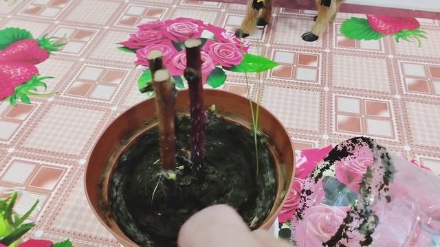 Размножение Малины.Прошло шестнадцать дней. смотреть онлайн
