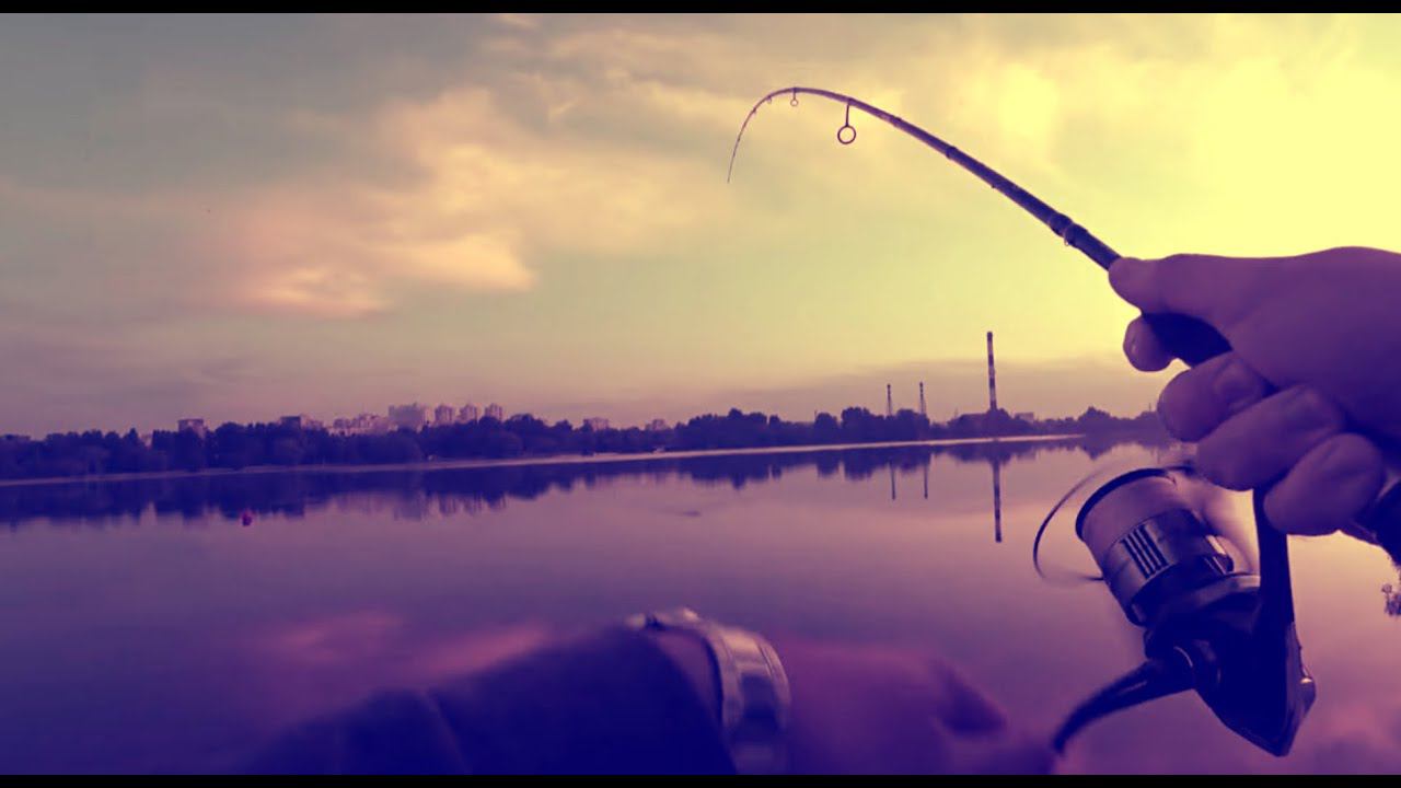 Всё же УГОВОРИЛ их! Ловля СУДАКА с берега летом. Optimus 782LT смотреть онлайн