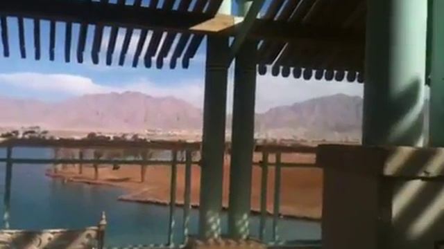 Я и Браславский tech ed 2010 смотреть онлайн