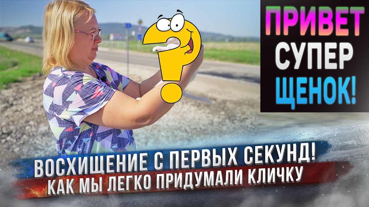 Первая встреча с щенком! Увидев щенка сразу придумали кличку смотреть онлайн
