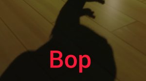 Барбоскины (Вор)