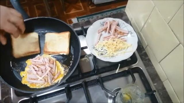 Грибы: источники живительной энергии