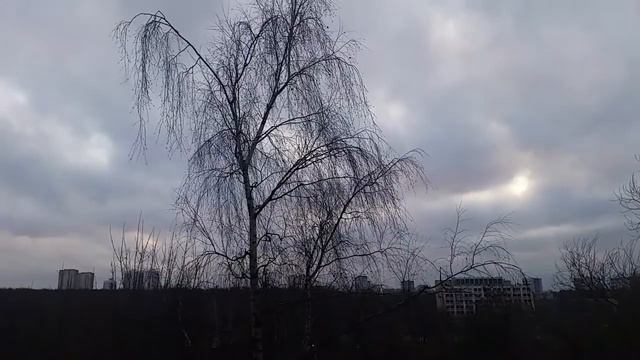 Пасмурный прогноз от 4 01 18 Без осадков с 5 смотреть онлайн