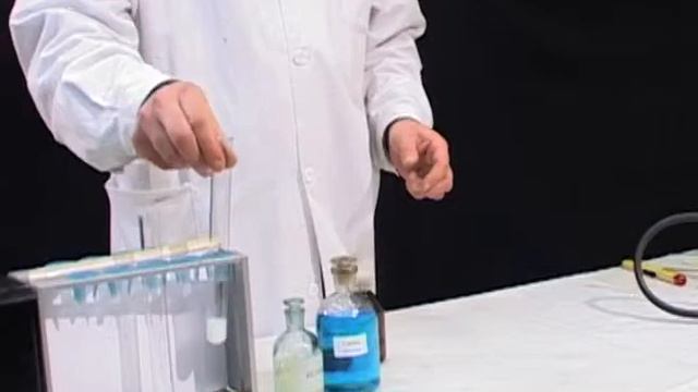 092 Осаждение белков солями тяжелых металлов смотреть онлайн