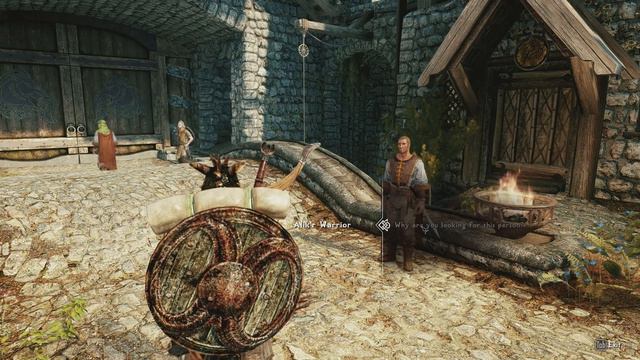 Break Game. Claim Mailbox. // PatPat Plays: Skyrim Elysium Remastered // Episode 11