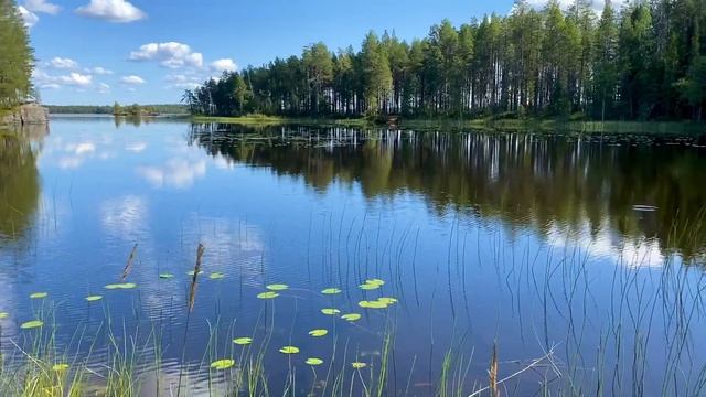 Остров Буян Республика Карелия смотреть онлайн