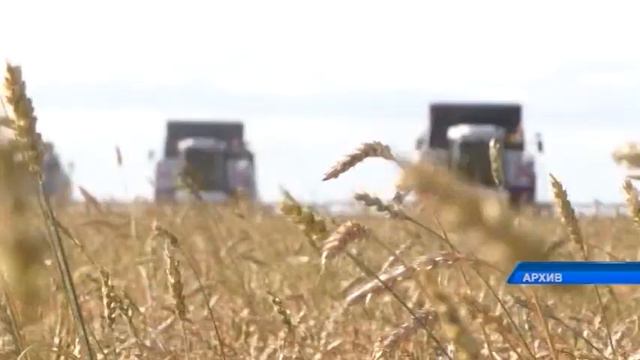 Для чего СКО нужен качественный интернет на полях? смотреть онлайн