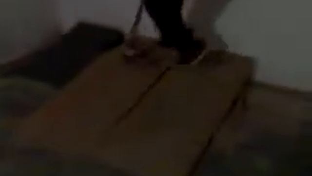 2009 scooter tricks смотреть онлайн