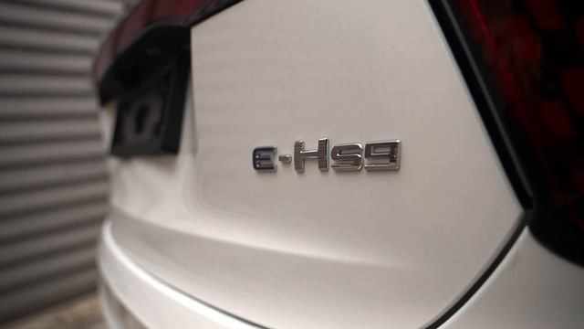 Hongqi E HS9 Exclusive смотреть онлайн