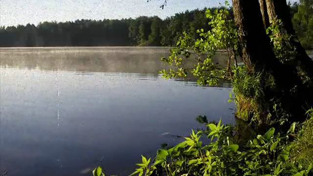 Звуки леса и озера смотреть онлайн