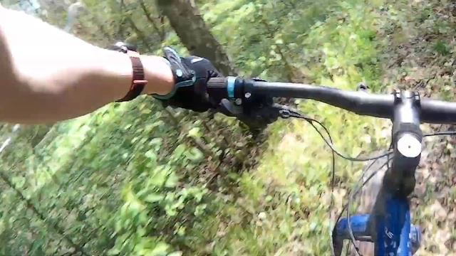 Петровские холмы архивы за 5 лет смотреть онлайн