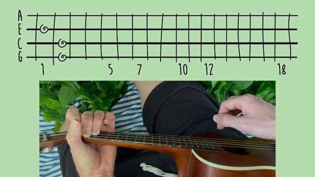 the rare occasions - notion // ukulele tutorial смотреть онлайн