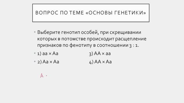 Подготовка к промежуточной аттестации смотреть онлайн