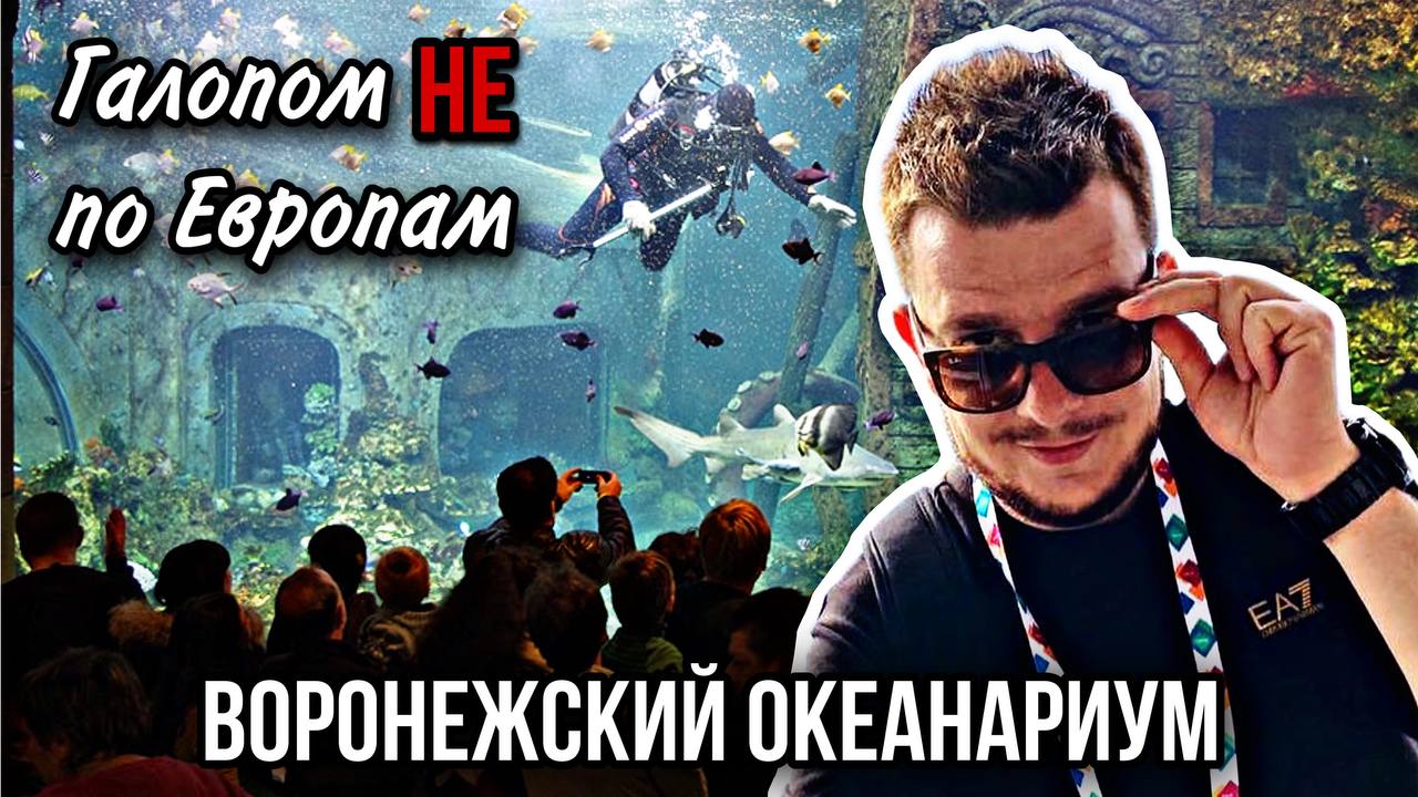 Галопом НЕ по Европам. Воронежский океанариум. смотреть онлайн