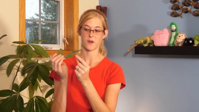 10 Products Every Snake Owner Should Have! смотреть онлайн