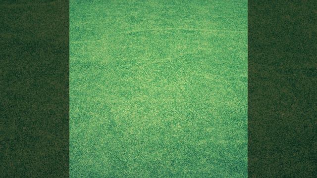 Yeho Spore смотреть онлайн