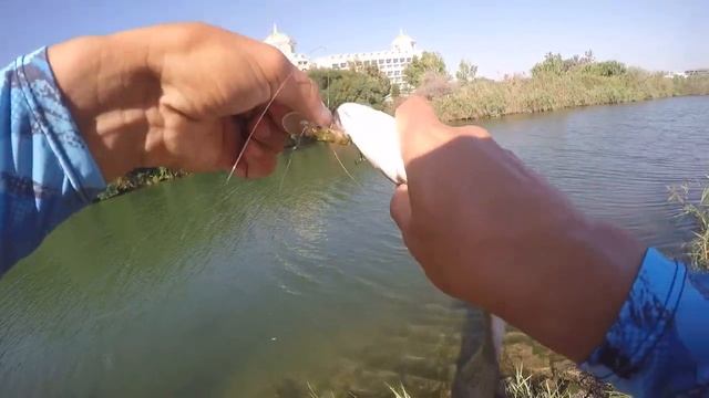 Light rock fishing in Turkey with Tetra Works смотреть онлайн