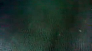 муравей с глушителем от пл5