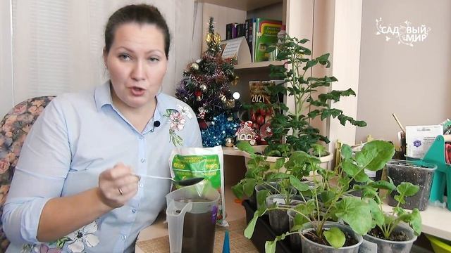 Стройка Плюс