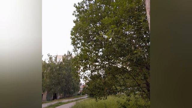 Чебоксары-жемчужина России. (часть3)