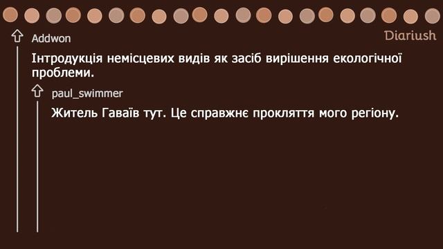 Добрими намірами вимощена дорога в пекло | Реддіт українською смотреть онлайн