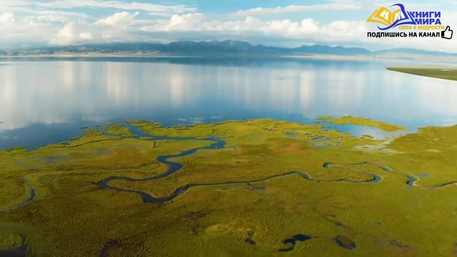 Кто Создаёт Все Проблемы Для Человечества?! l НИКОШО и Роберт Адамс смотреть онлайн
