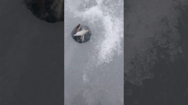 3 февраля 2023 г. смотреть онлайн