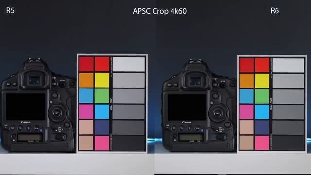 Canon EOS R5 VS R6 for VIDEO | Don't underestimate the R6 смотреть онлайн