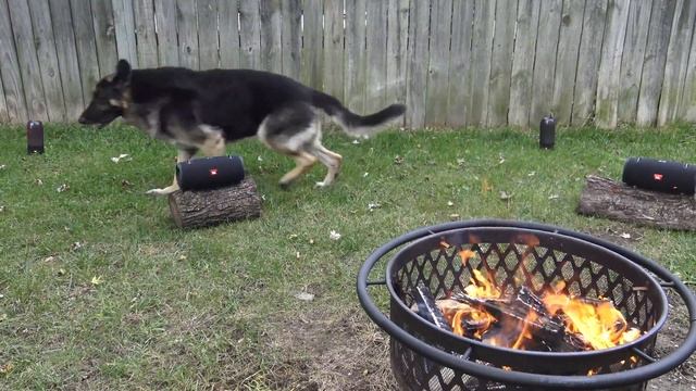 JBL Connect Plus Party смотреть онлайн