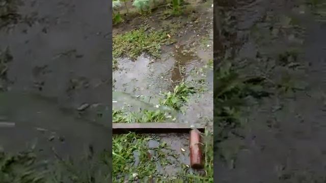 Абиссинская скважина. смотреть онлайн