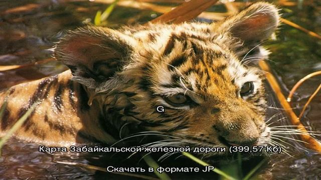 Карта дорог россии смотреть онлайн