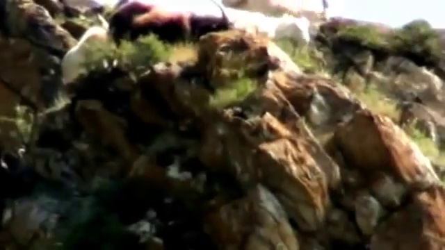 в реальности разница между ними куда сильнее смотреть онлайн