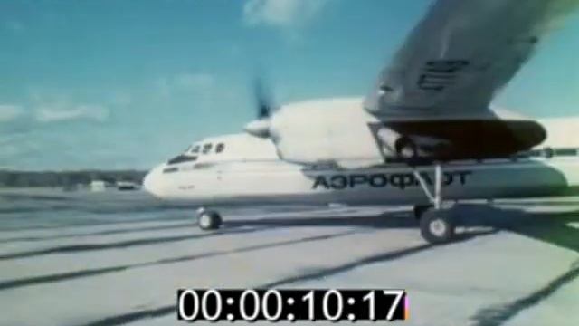 Socialistic Wings Of Peace