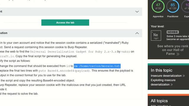 Burp Suite Community - Exploiting Ruby deserialization using a documented gadget chain смотреть онлайн