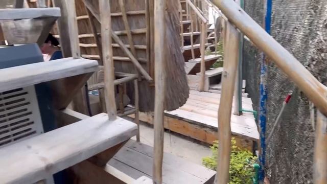 Едем кушать Ашлям Фу ?// Отдыхаем на Бали ? смотреть онлайн