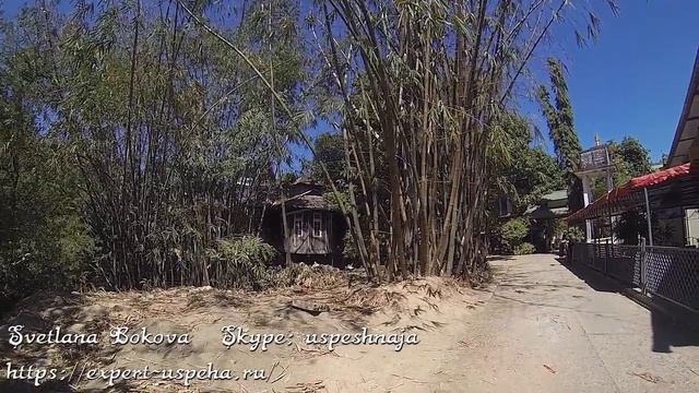 День 15. Мьянма  Янгон. Пагоды. Магазин драгоценных изделий. Обед. Автобус в Мониву