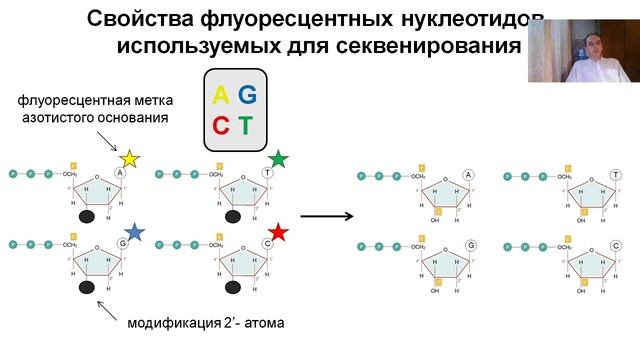 Лекция 14 Методы секвенирования ДНК (2022)