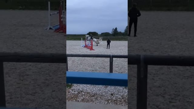 Метр ?#лошадь #удача #конныйспорт #конкур#прыжок смотреть онлайн