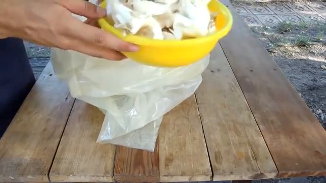 ВЫРАЩИВАНИЕ ГРИБОВ БЕЗ МИЦЕЛИЯ НА СОРНЯКАХ КАК ЛЕГКО И ПРОСТО КРУГЛЫЙ ГОД БЫТЬ смотреть онлайн