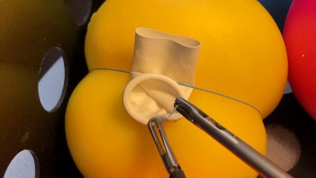 анастомоз упражнение 1 // anastomosis first step смотреть онлайн