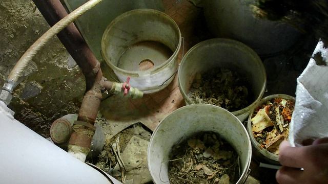 Разведение червей в вёдрах. Где взять компостных червей. Чем кормить червей в домашних условиях. смотреть онлайн