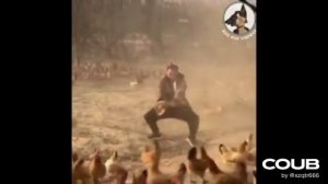 ПОДБОРКА ПРИКОЛОВ С ЖИВОТНЫМИ. КОРОТКИЕ ВИДЕО НАРЕЗКИ #Shorts (#5)