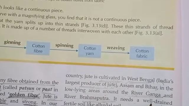 Class 6th Subject - Science